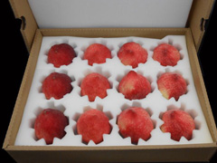 P(gun)ˮ\(yn)ݔbҪЩ