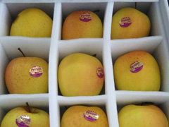 bϞʲôҪރ(ni)Ѓ(ni)r