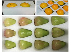 ރ(ni)rđ(yng)ÈЩ